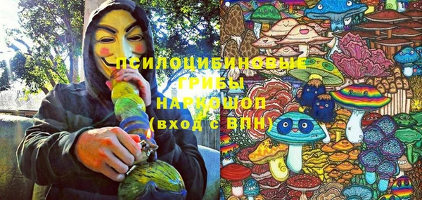 ALPHA PVP Бородино