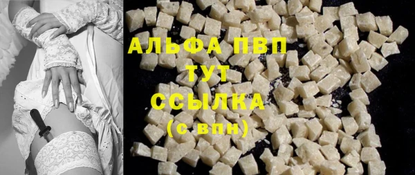 индика Верхний Тагил