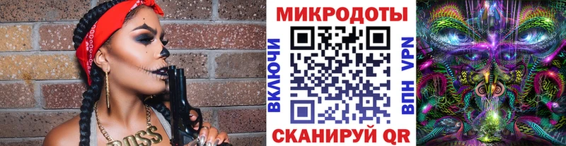 кракен как войти  Коркино  Псилоцибиновые грибы мицелий 