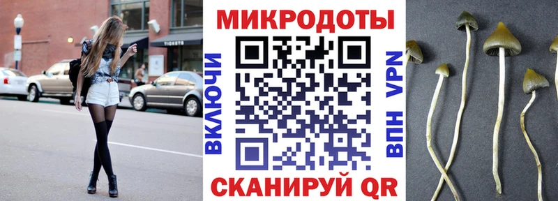 Псилоцибиновые грибы Psilocybe Коркино